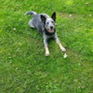 Meet your Posher, January